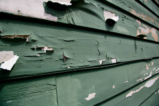 Professional Junk Removal in Northwoods, MO
